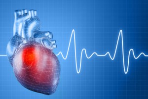 Herz Kreislauf Cardio Training